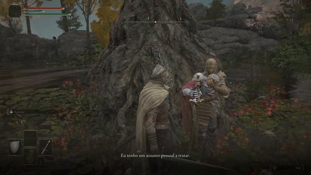COMO ENCONTRAR OS NPCS NA MESA-REDONDA EM ELDEN RING? O LOBBY DO JOGO (TIPO FIRELINK) смотреть онлайн
