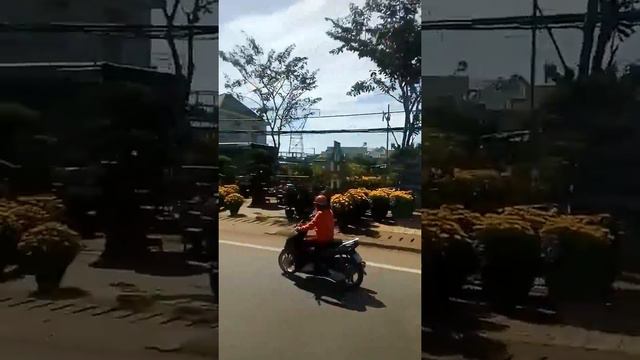 Вьетнамский новый год смотреть онлайн