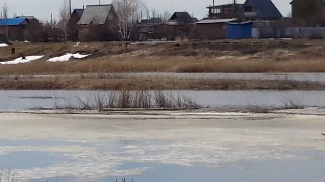 омск река камышловка смотреть онлайн
