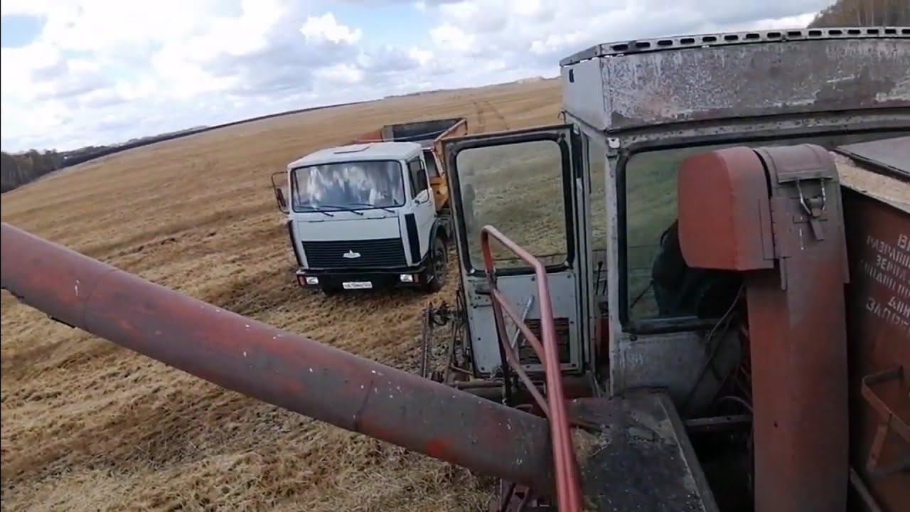 Зерноуборочный комбайн Енисей-1200 1 на уборке пшеницы. смотреть онлайн