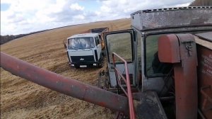 Зерноуборочный комбайн Енисей-1200 1 на уборке пшеницы.
