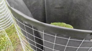 Компостер своими руками (идея Адвоката Егорова). 14.08.2023