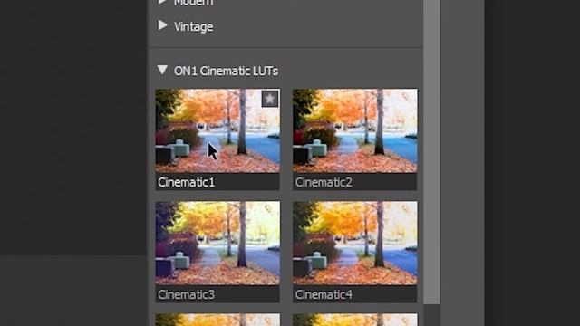 How To Use LUTs With Adobe Camera Raw (ACR LUTs Tutorial)