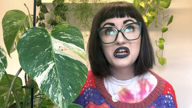 10 THINGS I WISH I KNEW AS A BEGINNER PLANT PARENT! 🪴 Advice For New Houseplant Collectors смотреть онлайн