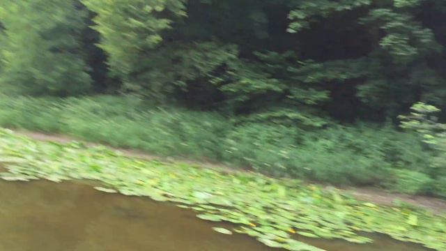 Двигаемся к роднику. Река Пахра. смотреть онлайн