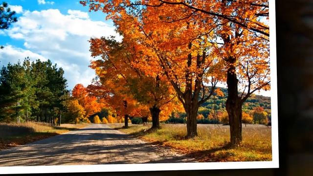 Современные детские эстрадные песни Листопад смотреть онлайн