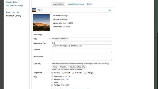Adding A NextGEN Gallery in WordPress смотреть онлайн