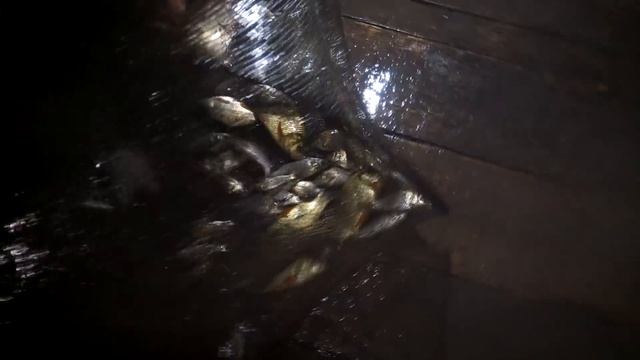 Ловушка, Раколовка для рыбы из Китая (Улов) смотреть онлайн