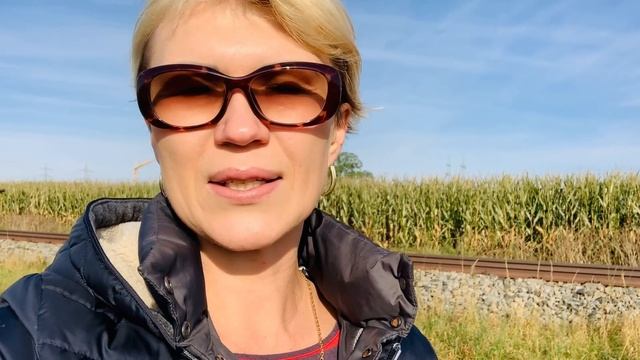 Первые заморозки ❄️ / Мотивирую пациентов ?/ У Тайсона свой дом ?? смотреть онлайн