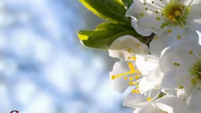 Сила слова ч 1 смотреть онлайн