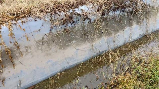 Looking For Lightning McQueen, Disney Pixar Cars, Toy Story, Buzz, Alien Car, Monster Truck смотреть онлайн