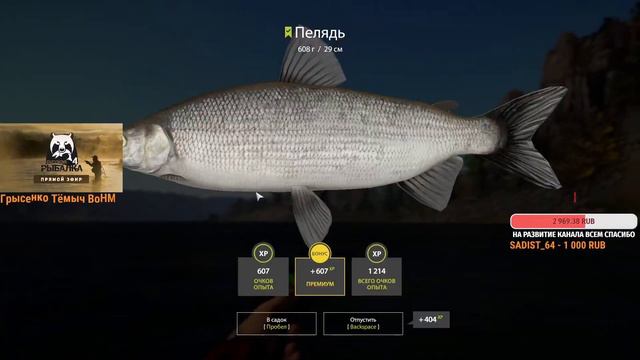 РУССКАЯ РЫБАЛКА 4 СОБИРАЕМ НА КАТУШКУ Rocket Jet RJ 7 ФАРМИМ МОНЕТЫ .ЧАСТЬ №1 смотреть онлайн