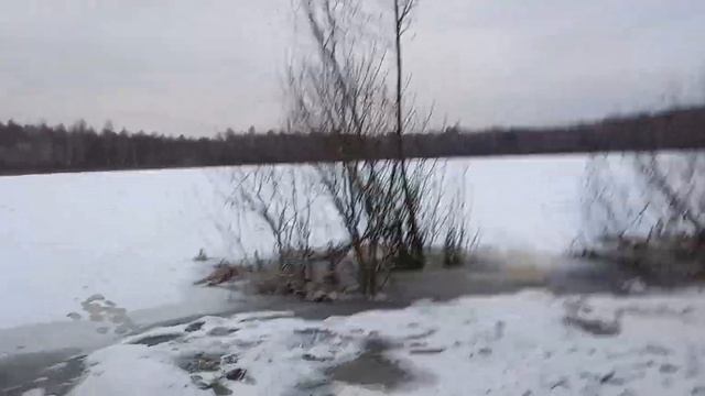 Озеро около моей дачи. Небольшой обзор озера в зимнее время.Есть следы рыбаков . смотреть онлайн