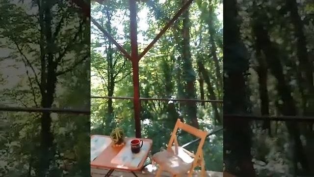 ? Дача. Туапсе 08.08.22 (1) ? смотреть онлайн