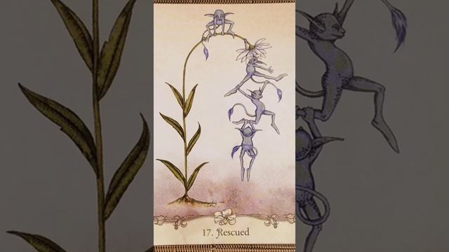 Rescue (17) ? Fairy Wisdom Oracle card meaning смотреть онлайн