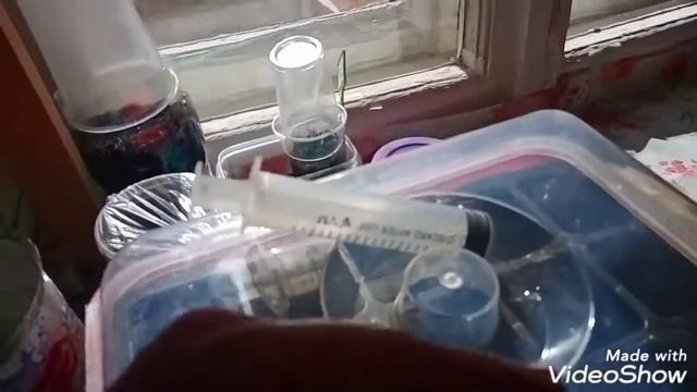 Проращивание 15 много сортов сразу, сравнение способов проращивания семян смотреть онлайн