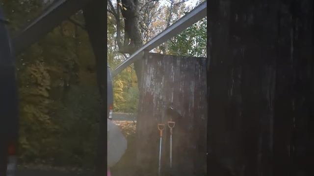 дебед в Путилово Псковская обл смотреть онлайн