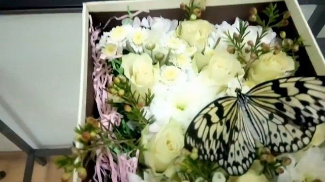 Бабочка в коробке с цветами смотреть онлайн