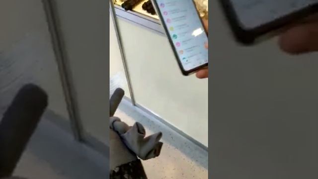 Розыгрыш 10.09.2020 на выставке Охота и Рыболовство смотреть онлайн