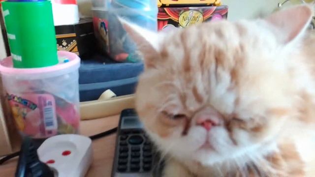 Искусство и Собственная Уникальность