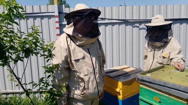 УНИКАЛЬНЫЙ САДОК ДЛЯ СОЗДАНИЯ ОТВОДКОВ И ПРИНЯТИЯ МОЛОДЫХ МАТОК. смотреть онлайн
