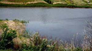 Природа на рыбалке в Камышинском районе