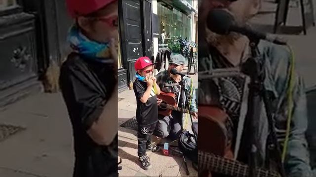 Knocking on Heavens door (Bob Dylan cover) con INVITADO Especial смотреть онлайн