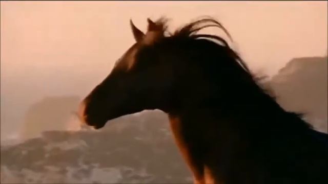 Не надо искушать свою Судьбу смотреть онлайн