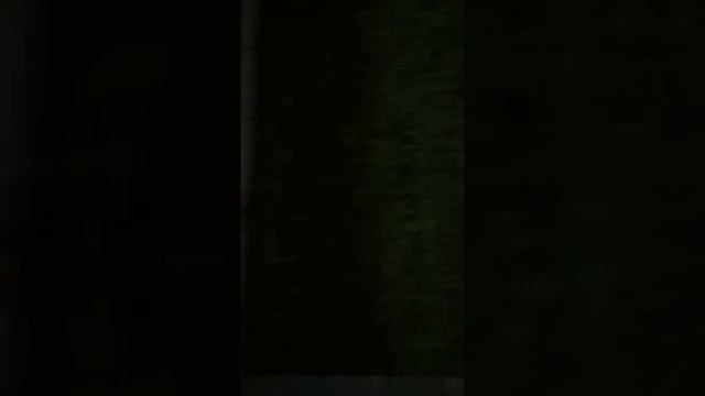 Marksepticslayers mating call смотреть онлайн
