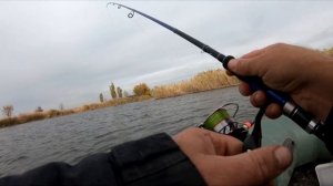 ЛОВЛЯ ЩУКИ НА СВИМБЕЙТ ОСЕНЬЮ