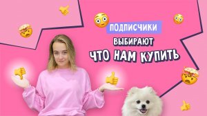 ПОДПИСЧИКИ УПРАВЛЯЮТ ПОКУПКАМИ | ГРУМИНГ ШПИЦА КАССИ