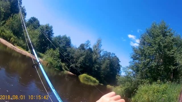 Ловля головля на саранчу. река Линда,Нижегородская область 2018 г смотреть онлайн