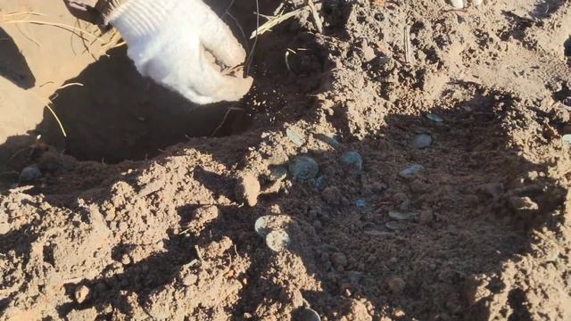Ведьмин клад!!! смотреть онлайн