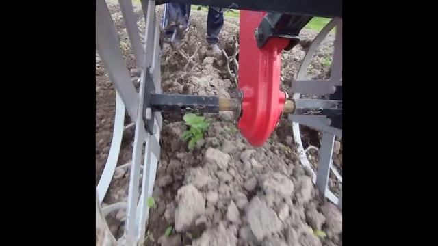 Мотоблочный картофан смотреть онлайн