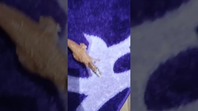 Сюжет колобка наоборот