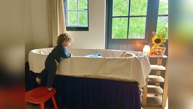 К чему снится ГРОБ | Видеть ВО СНЕ гроб | Толкование сна смотреть онлайн