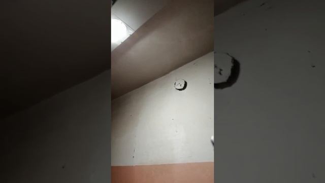 ВЛОГ! стирка. мне не жирно. общага. Жилетово 15.11.2021 смотреть онлайн