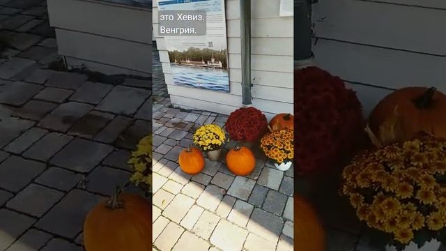 Стража на озере Хевиз. Это Венгрия. смотреть онлайн