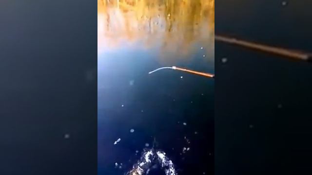 оз.Узеть первый лед смотреть онлайн