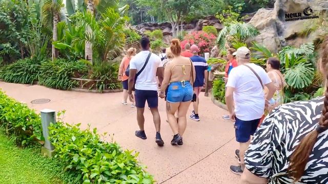 TENERIFE- LORO PARQUE - 50 YEARS ANNIVERSARY 2022 -ANSWER TO SEAWORLD - MUST WATCH- 4k смотреть онлайн