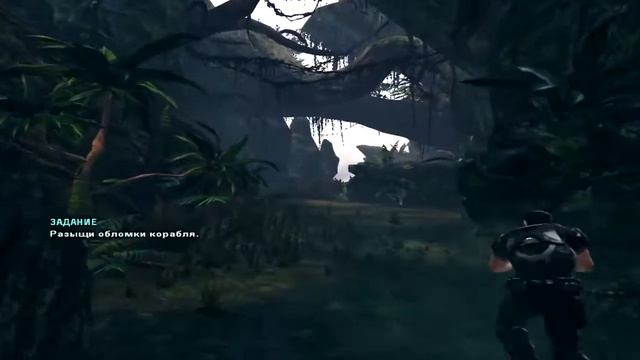 Turok 2008#1