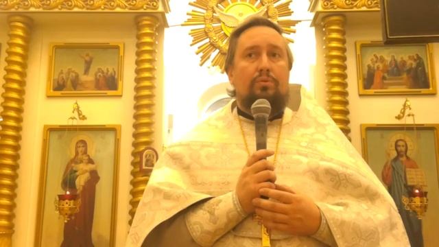 03.11.2018г. проповедь иерея Дмитрия Боголюбова "Дмитриевская родительская суббота" смотреть онлайн