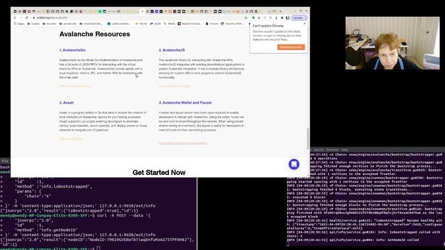 Adding a validator to our Avalanche Node...a way to earn AVAX смотреть онлайн