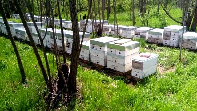керамзит в поилки и зимовалые нукл. над семями опровдались. смотреть онлайн