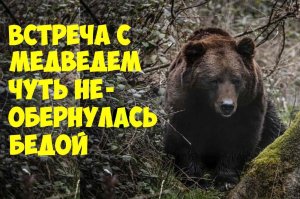 Встреча с медведем не для слабонервных. Интересная жизненная история.