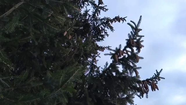 13 марта-День ВАСИЛИЯ ТЕПЛОГО.Кто заплачет сегодня.Приметы на благополучие.Народные приметы смотреть онлайн