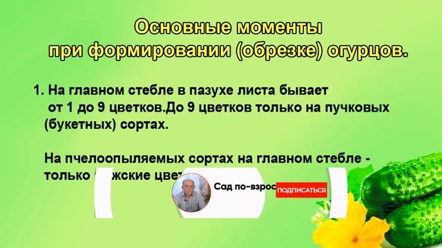 Как формировать огурцы. Схема формирования. Начинающим. смотреть онлайн