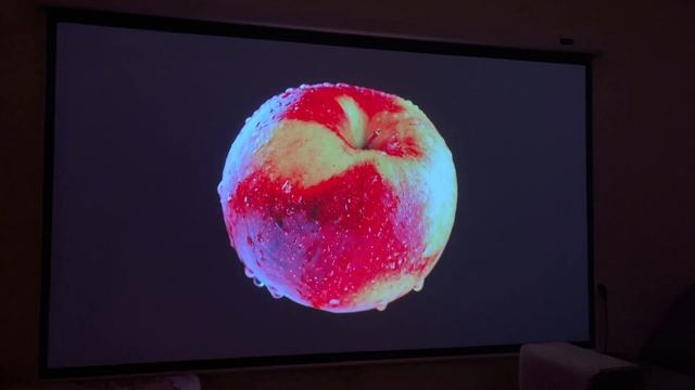 XGIMI Elfin 100" HDR белый экран, усиление 1 смотреть онлайн