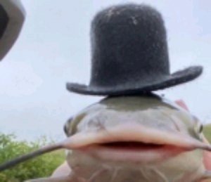 квадробика