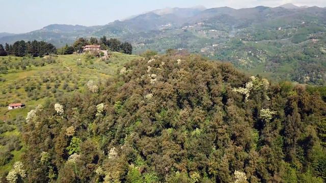 Castagnori ed il borgo fortificato nascosto, Lucca. смотреть онлайн